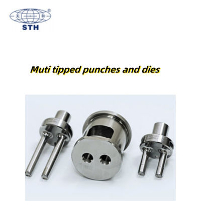 Multi Tipped High Capacity Chrome Coated Punch and Die for Pharmaceutical Tablet Press Tooling المزود
