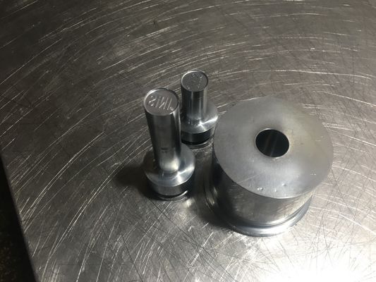 TIANHE Customized Multi-head mould/Punches & dies/Material S7 Hard Chrome المزود