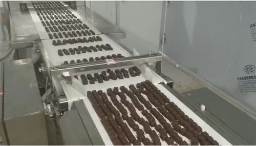 تيانهي دجاج بوليون مكعب 10g مسحوق آلة الضغط اللوحية الدوارة المزود
